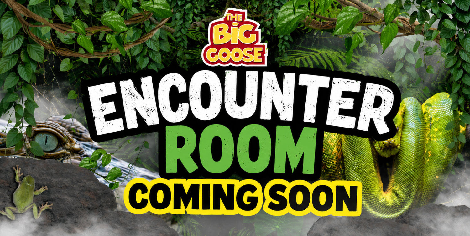 Family enjoying a one-on-one animal encounter inside the Encounter Room at The Big Goose Adventure Farm
