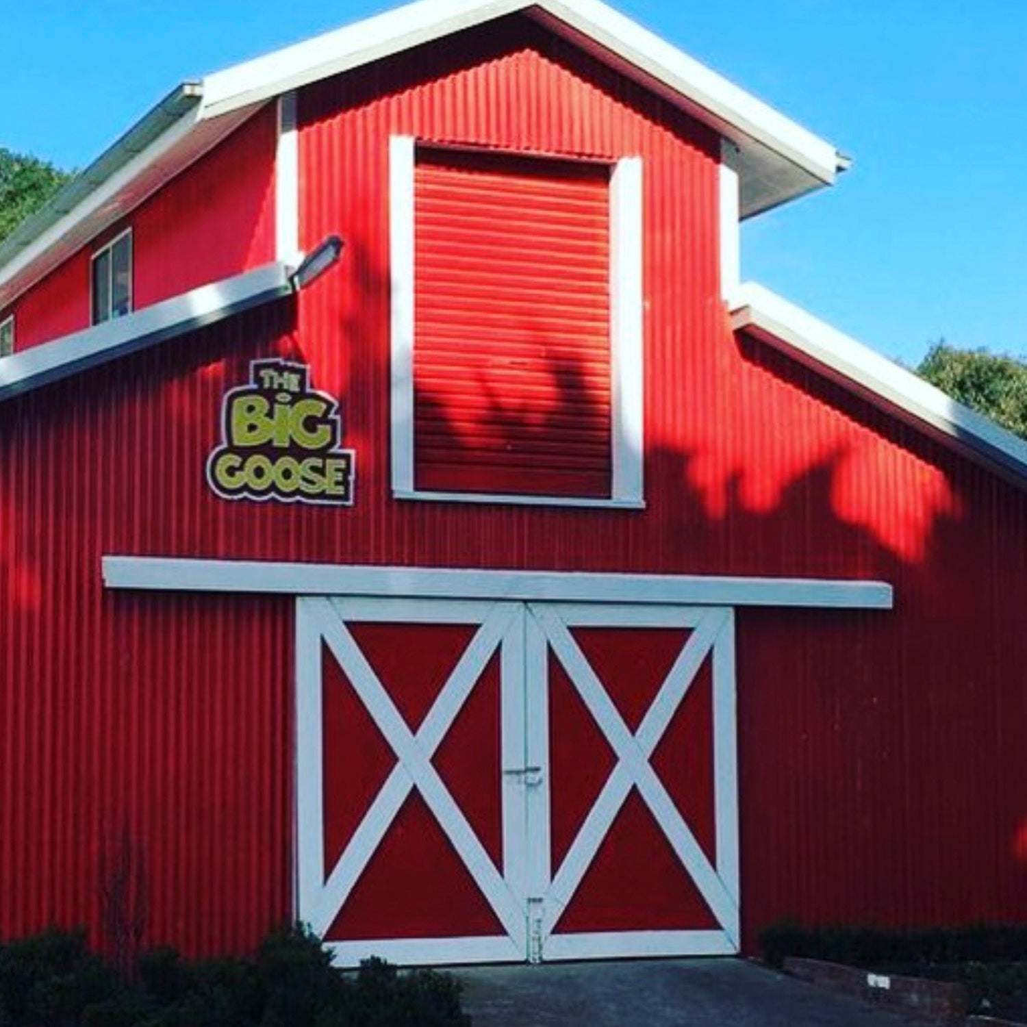 Explore the farm at The Big Goose Adventure Farm and Wildlife Park