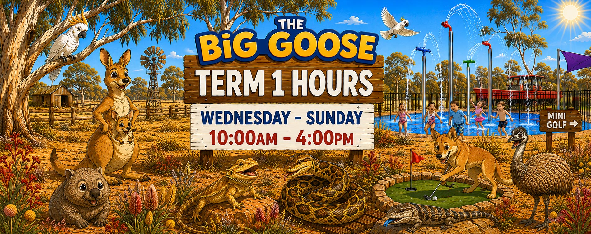 The Big Goose Adventure Farm and Wildlife Park on the Mornington Peninsula close to Melbourne and Cranbourne- Term 1 Opening Hours