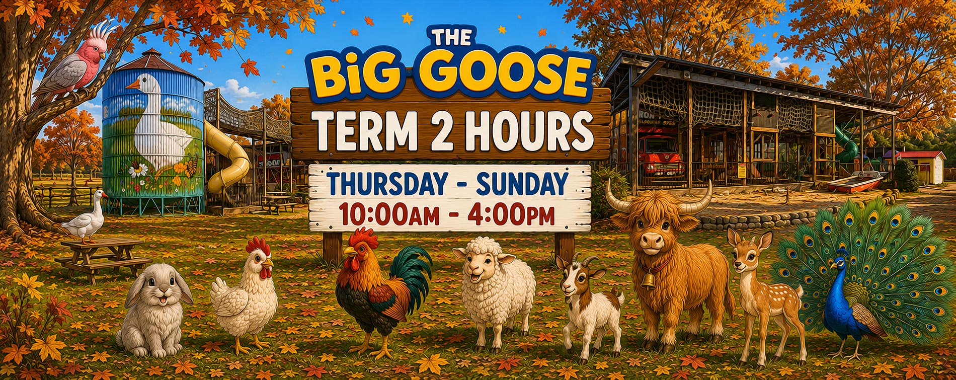 The Big Goose Adventure Farm and Wildlife Park on the Mornington Peninsula close to Melbourne and Cranbourne Family Fun Activity and Things to Do With the Kids on School Holidays - Term 2 Opening Hours