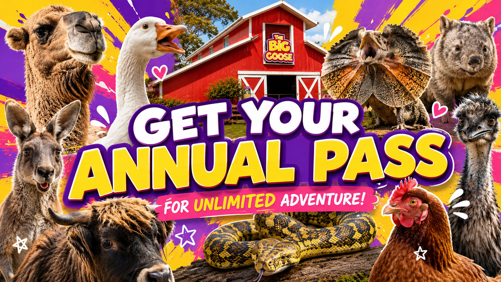 Buy your Annual Pass for unlimited adventure at The Big Goose one of Melbourne's most popular family attractions and school holiday activities.