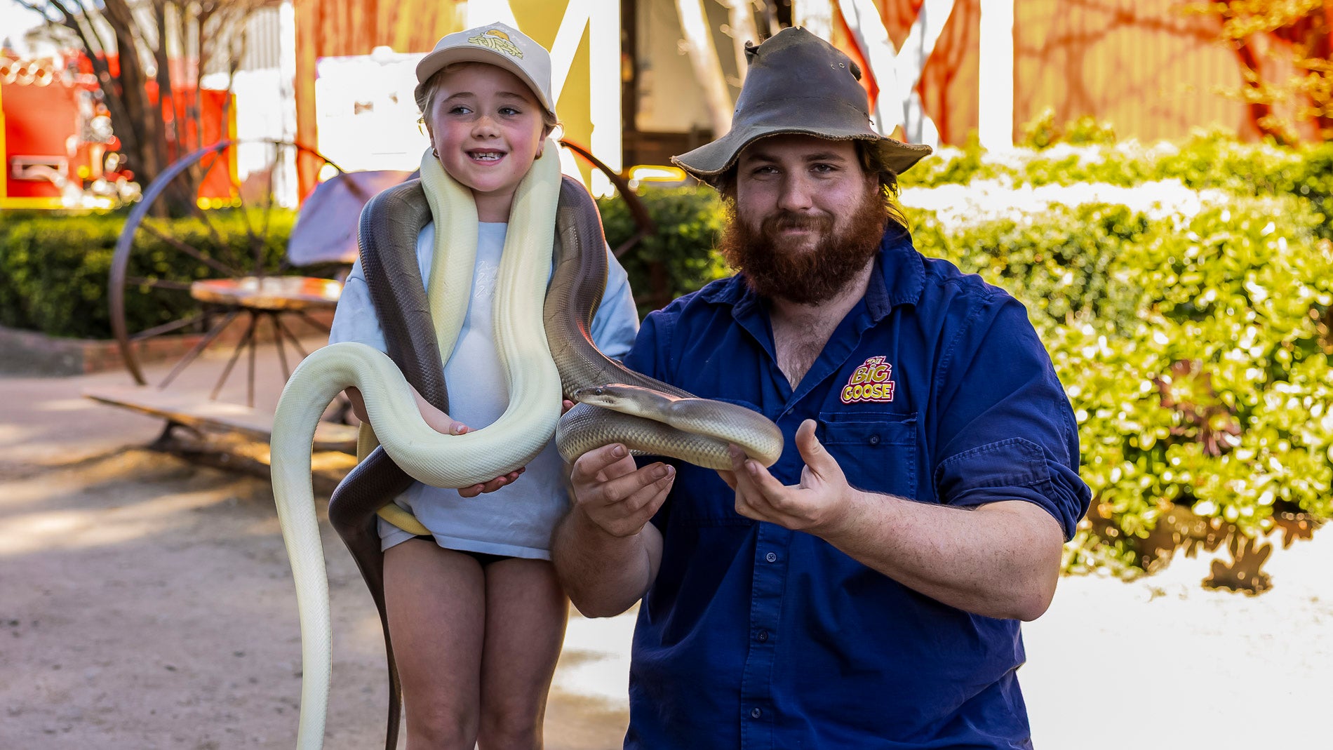 No need to be brave our snakes and reptiles are friendly meet them face to face at our Reptile Encounters near Melbourne at The Big Goose
