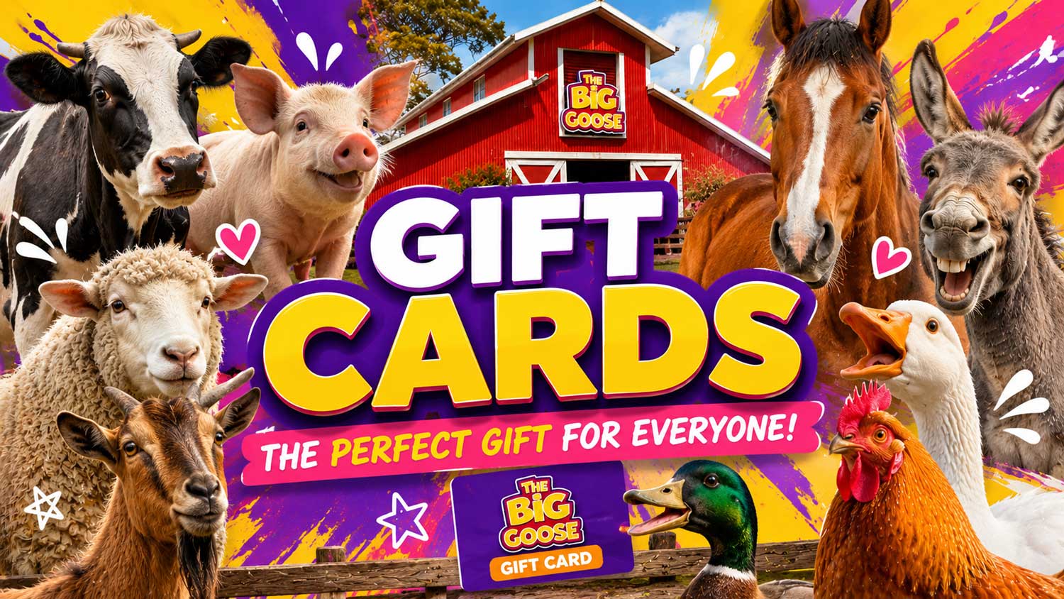 The perfect gift a day of adventure at The Big Goose Adventure Farm & Wildlife Park on the Mornington Peninsula