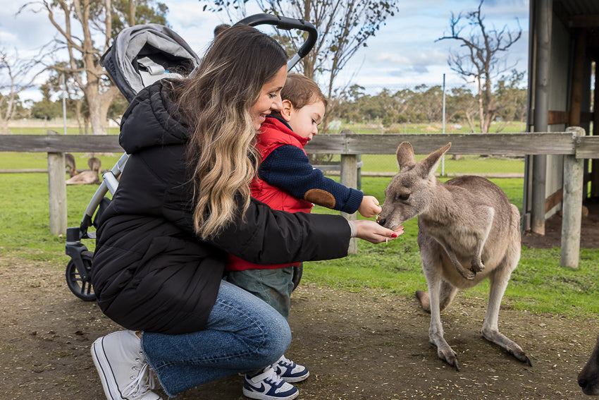 A little boy and his mum feeding a kangaroo at The Big Goose Adventure Farm and Wildlife Park near Melbourne