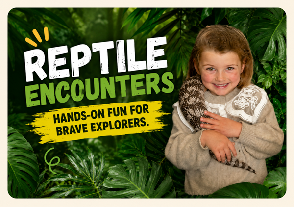 Reptile Encounters, hold snakes lizards and crocodiles at The Big Goose on the Mornington Peninsula Melbourne
