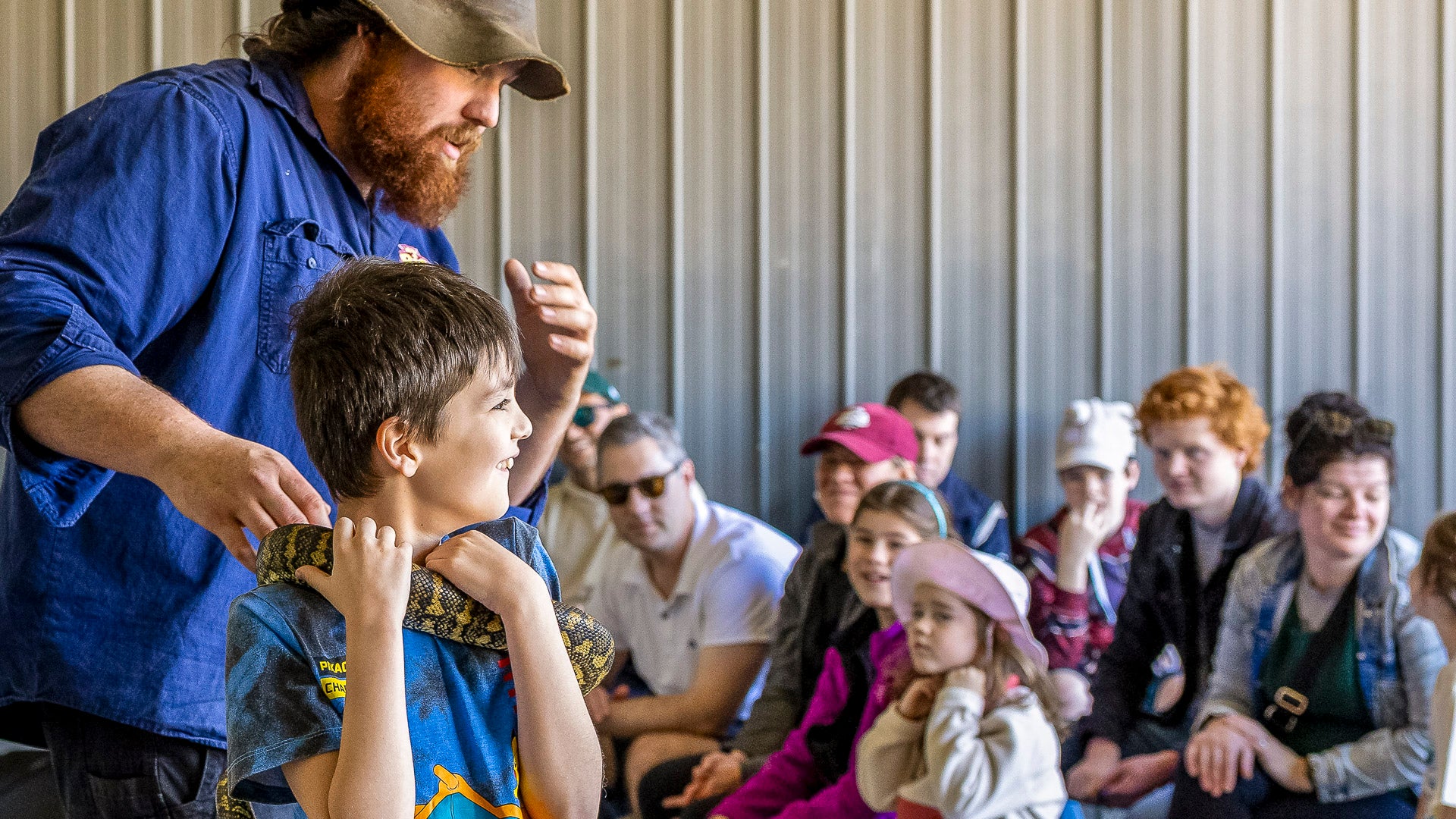 Child holding a python during the daily reptile show at The Big Goose Adventure Farm & Wildlife Park