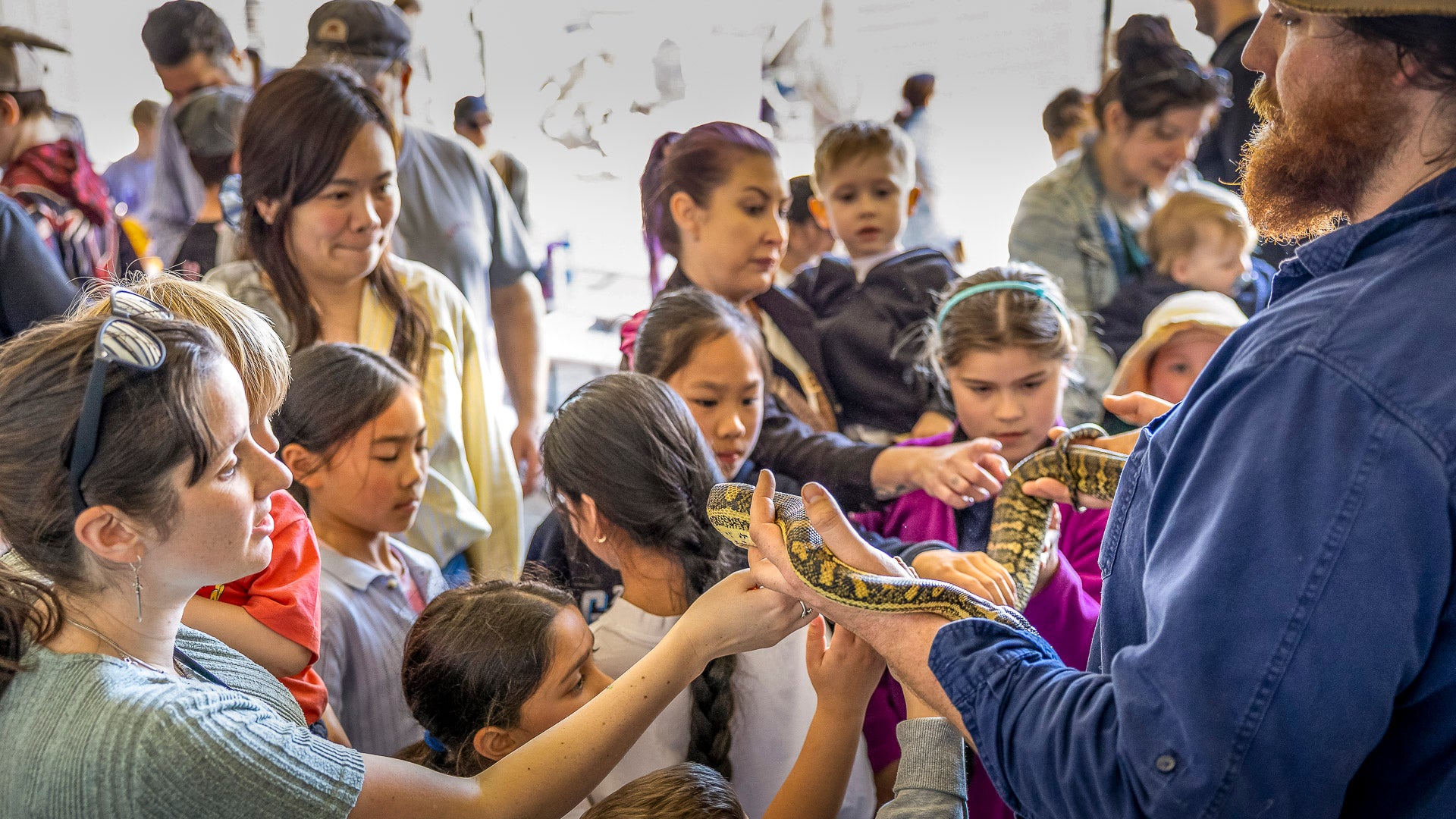 Reptile shows The Big Goose Adventure Farm & Wildlife Park on the Mornington Peninsula, one of Victoria’s favourite family attractions, near Hastings, Mornington, Rosebud, Frankston, Cranbourne and Melbourne