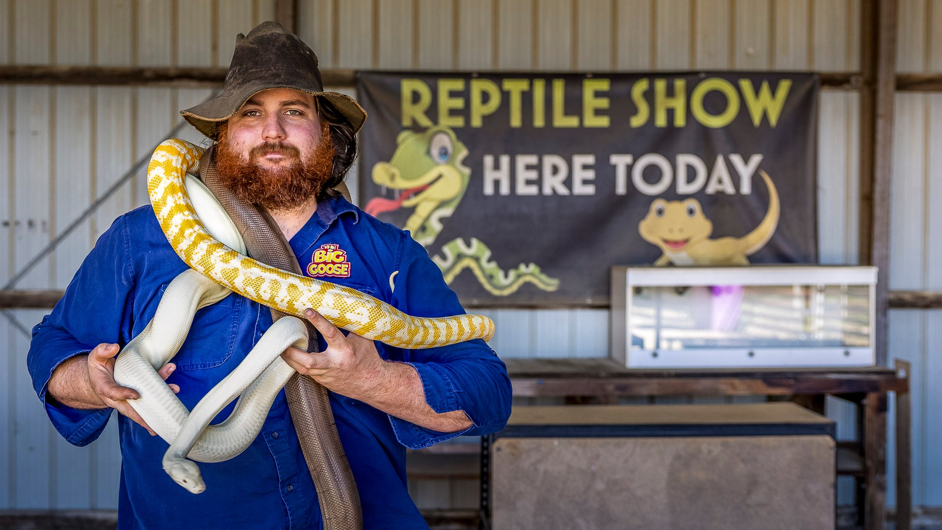 Free Reptile Shows included in ticket price The Big Goose Adventure Farm & Wildlife Park on the Mornington Peninsula, one of Victoria’s favourite family attractions, near Hastings, Mornington, Rosebud, Frankston, Cranbourne and Melbourne