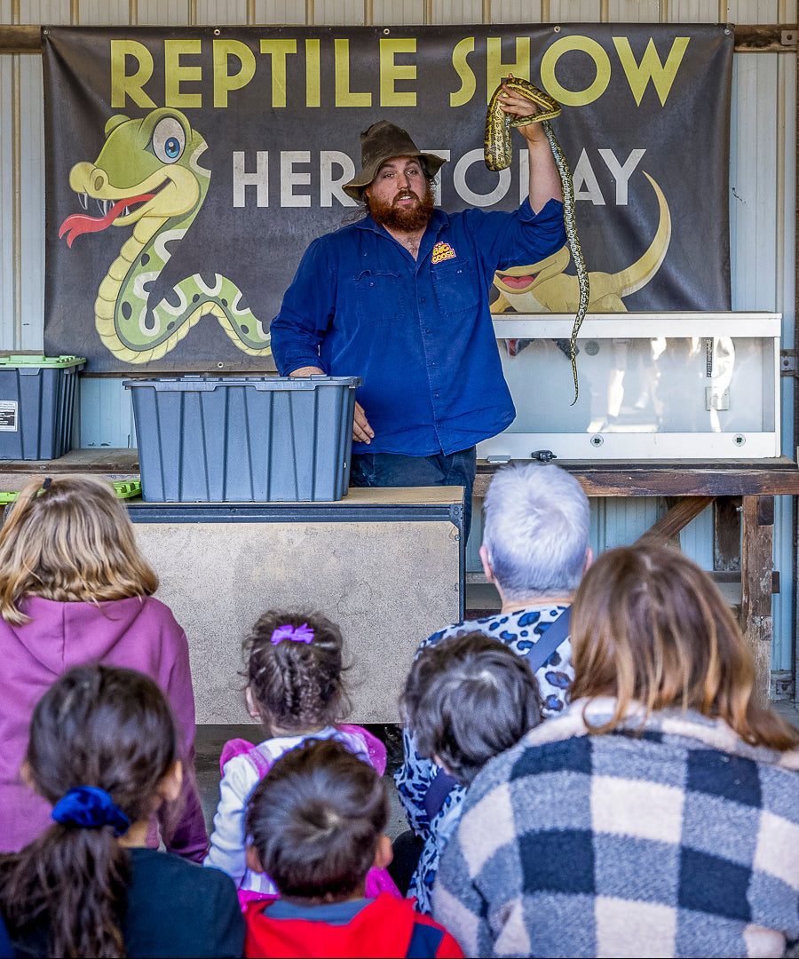 Reptile keeper presenting a native Australian monitor lizard during an educational wildlife show at The Big Goose Adventure Farm & Wildlife Park in Moorooduc on the Mornington Peninsula, offering reptile encounters, wildlife experiences, school excursions, family attractions and interactive animal activities near Melbourne, Frankston, Mornington, Mount Eliza, Mount Martha, Somerville, Hastings, Dromana and Rosebud