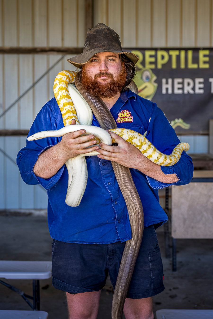 Reptile show at a Twilight Farm Function at The Big Goose