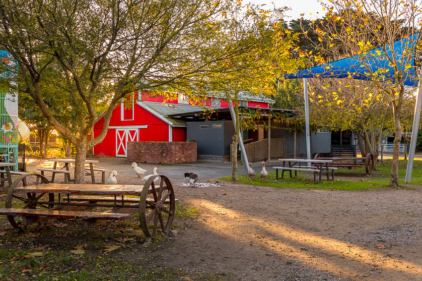 Autumn colours and picnic tables near the barn at The Big Goose Adventure Farm & Wildlife Park on the Mornington Peninsula near Melbourne Victoria