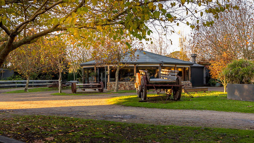 The Goose Café at The Big Goose Adventure Farm & Wildlife Park in autumn, family friendly café on the Mornington Peninsula near Melbourne Victoria