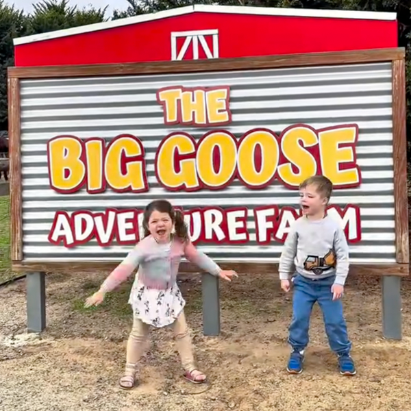  at The Big Goose Adventure Farm & Wildlife Park in Moorooduc, Victoria, offering family attractions, outdoor play areas, farm animal encounters, school excursion activities, wildlife experiences and children’s entertainment on the Mornington Peninsula near Melbourne.