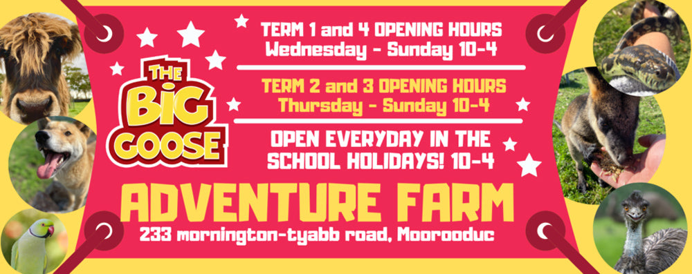 The Big Goose Adventure Farm & Wildlife Park Opening Hours and Seasonal Hours, a popular Mornington Peninsula Tourist destination with kids