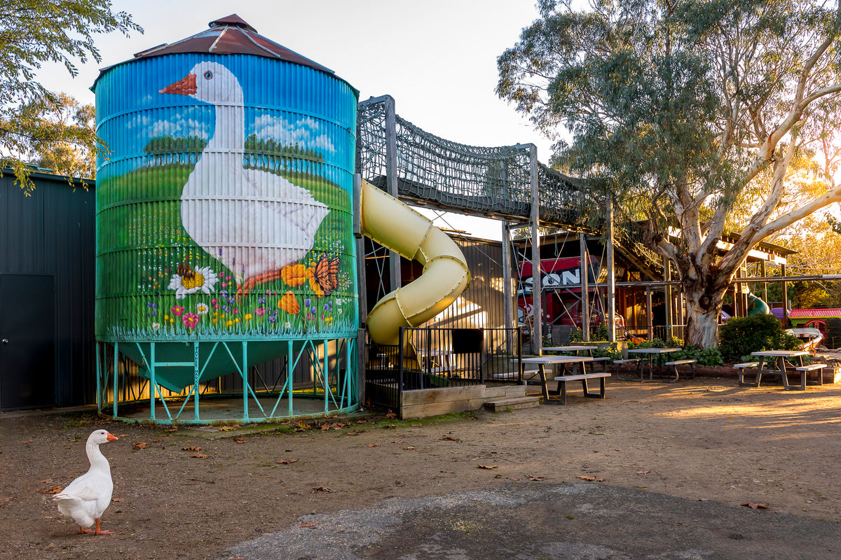 Adventure playgrounds at The Big Goose Twilight Farm Functions