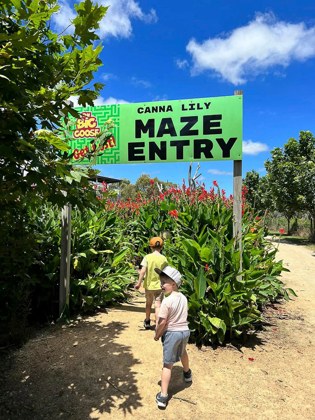 Children entering the giant canna lily maze at The Big Goose Adventure Farm & Wildlife Park on the Mornington Peninsula, Victoria