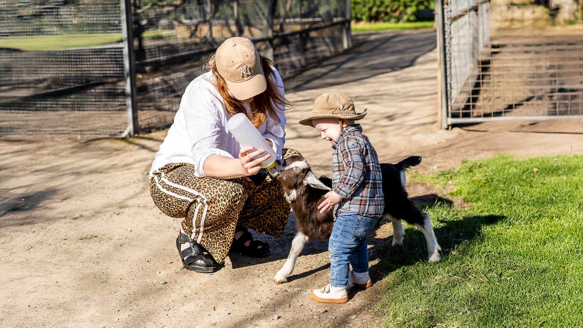 A full day of cuddles, country air and unforgettable farmyard moments at The Big Goose Adventure Farm and Wildlife Park near Frankston on the Mornington Peninsula
